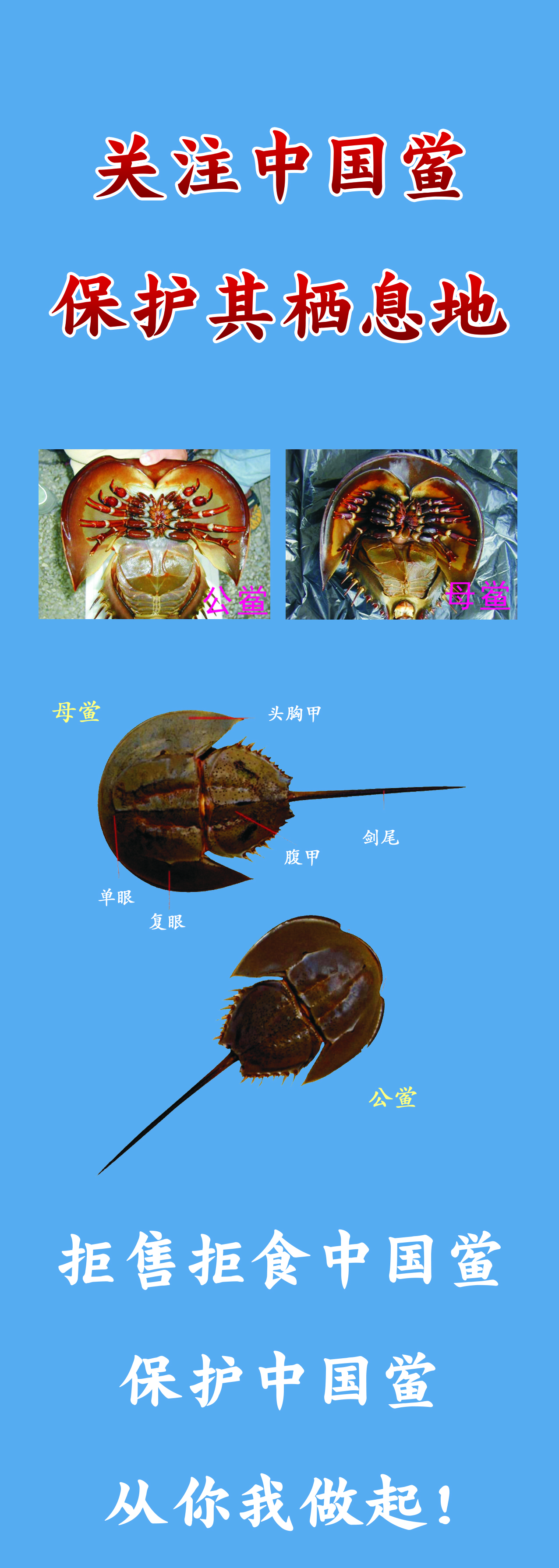 微信图片_20190808113632.jpg