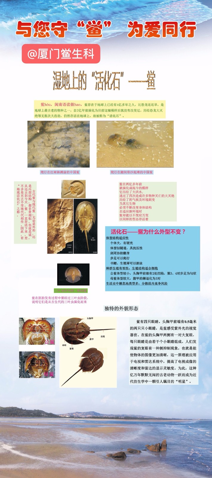 微信图片_20190808155358.jpg